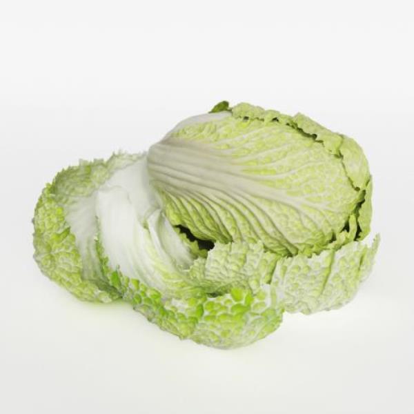 Lettuce 3D Model